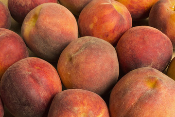 Peach - a lot of ripe fruit