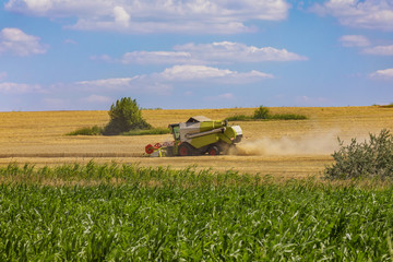 Grain harvesting combine. Palouse harvest season.