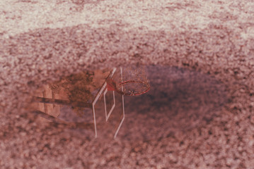 Reflection of basketball hoop in the puddle