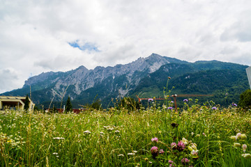 Fototapeta premium Alps in Lichtenstein