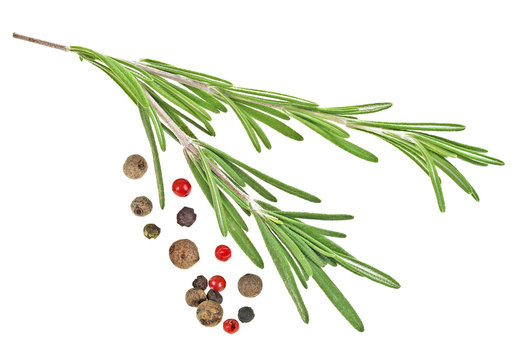 Fresh vegetables spices and Italian herbs - rosemary and peppercorns on a white background