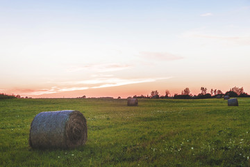 hay rolls round in the field