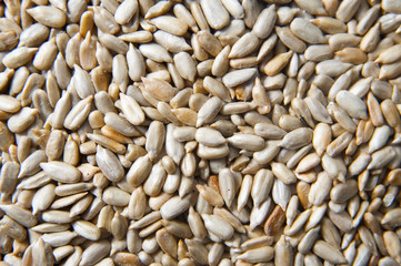 Sunflower seeds