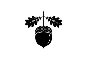 Acorn icon or logo in modern line style. Vector illustration on a white background. © Ольга Мещерякова