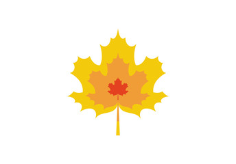 Maple leaf icon or logo in modern line style. Vector illustration on a white background.