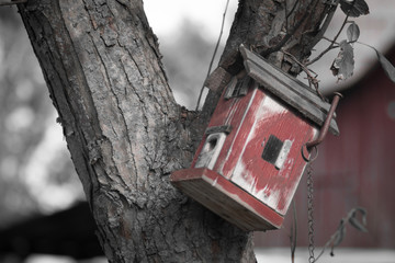 Bringing Outdoors to Life