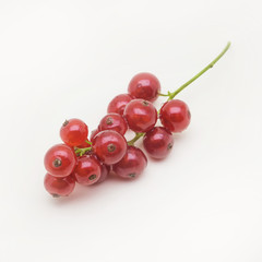 Brush of fresh red currant on white background