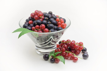 Glass vase with black and red currant on white background