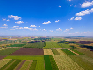 Drone photo quad in a field in summer in agricultural season.
