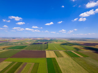Fototapeta premium Drone photo quad in a field in summer in agricultural season.
