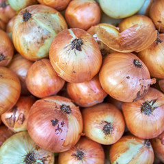 Fresh onions. Onions background. Ripe onions. Onions in market