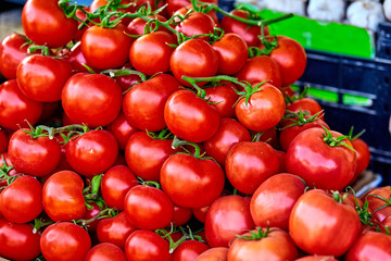 red tomatoes background. Group of tomatoes