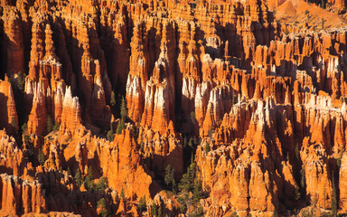 Bryce canyon