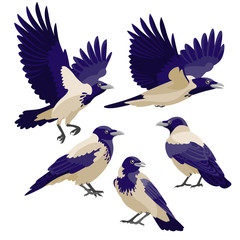 Crows on white background / There are three sitting crows and two flying crows in cartoon style
