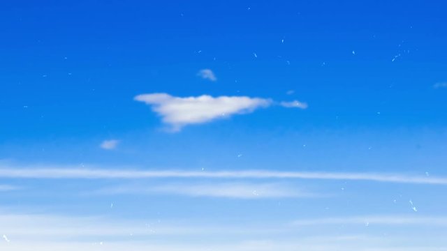Blue field entoptic phenomenon