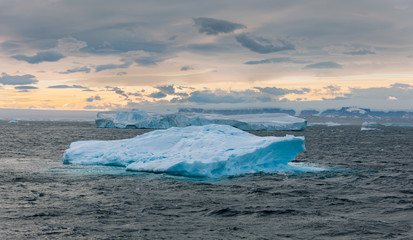 Icebergs along the Antarctic Peninsula. © David