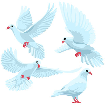 White doves on white background / Four white doves in cartoon style
