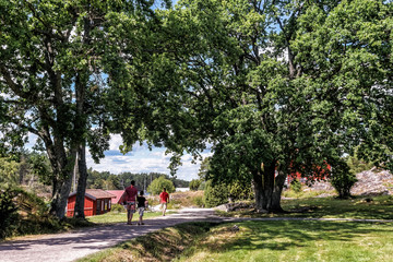Obraz premium Walking on the Island of Harstena belonging to Gryt archipelago in the Baltic Sea