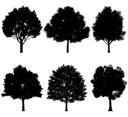 Vector illustration of tree silhouettes