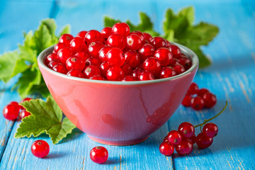 Fresh red currant in bowl on blue wooden background.