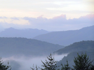 Fog in the Great Smoky Mountains