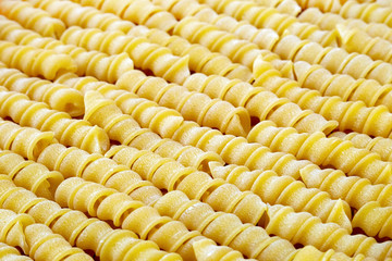 Italian uncooked wheat spiral torchietti pasta closeup sorted diagonally.