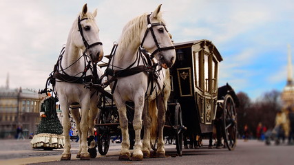 Naklejka na ściany i meble Coach in St. Petersburg in the palace square