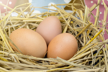 Fresh chicken eggs in straw nest