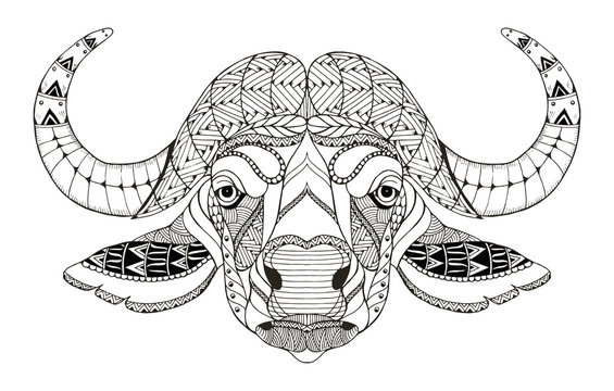 African buffalo head zentangle stylized, vector, illustration, freehand pencil, hand drawn, pattern. Anti stress coloring book for adults and kids.
