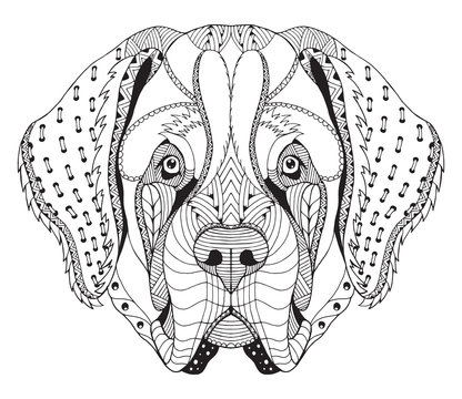 Saint Bernard dog zentangle stylized head, freehand pencil, hand drawn, pattern. Anti stress coloring book for adults and kids.