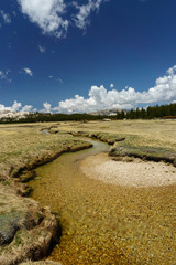 Tioga pass meadow