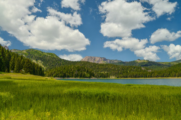 Fototapeta na wymiar View of The Black Lake