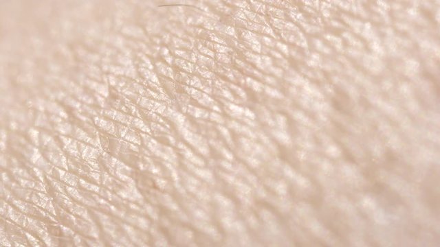 CLOSE UP MACRO DOF: Detail of dry Caucasian skin. Shaved woman's legs. Dry skin after depilation and waxing. Hairless skin pattern