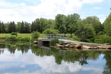 Fototapeta na wymiar The bridge over the pond in the park.