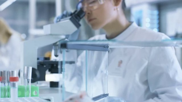 Medical Research Scientist Examines Laboratory Mice and Looks on Tissue Samples under Microscope. She Works in a Light Laboratory. Shot on RED EPIC-W 8K Helium Cinema Camera.