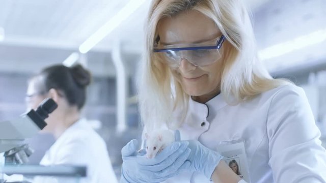 Medical Research Scientist Holds Laboratory Mouse. She Works in a Bright and Modern Laboratory. Shot on RED EPIC-W 8K Helium Cinema Camera.