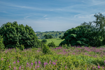 Beautiful countryside background