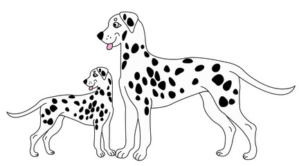 Vector Dalmatian Dog with Puppy. Vector Dog. Dalmatian Vector Illustration. 