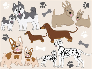 Fototapeta premium Vector Dogs with Puppies - Scottish Terrier, French Bulldog, Dachshund, Husky, Dalmatian. Dogs Vector Illustration. 