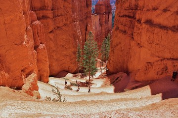 Navajo Loop