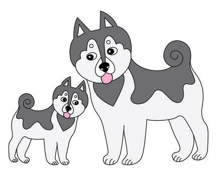Vector Cute Husky with Puppy. Vector Dogs. Husky Vector Illustration.