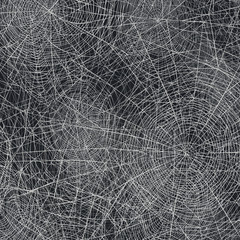 Halloween holiday background. Spider web vector background.