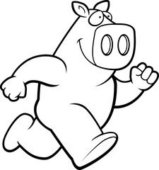 Pig Running