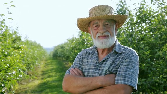 Happy farmer with a beautiful beard in a straw hat in the garden. Portrait of a successful gardener with crossed hands