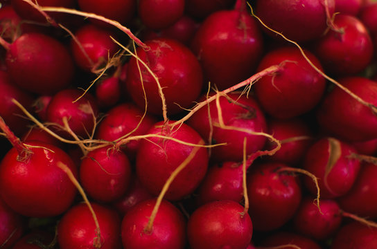 bunch of radishes