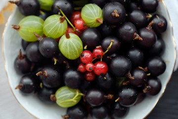 Plate with blackcurrants and gooseberries