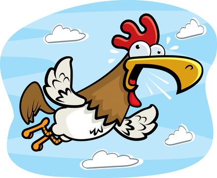 Rooster Flying