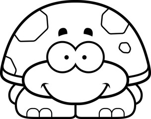 Smiling Little Turtle