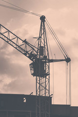 Crane gray on a background of clouds contrasting
