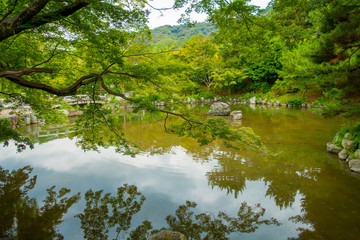 Fototapeta na wymiar Beautiful artificial lake located in Gio disctrict at Kyoto